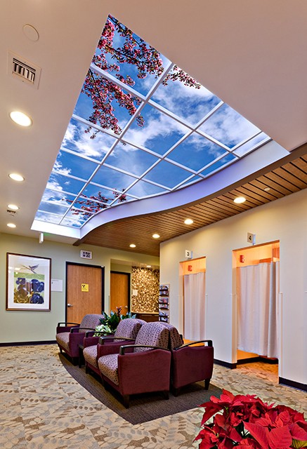 Image 9 Custom Sky Ceiling