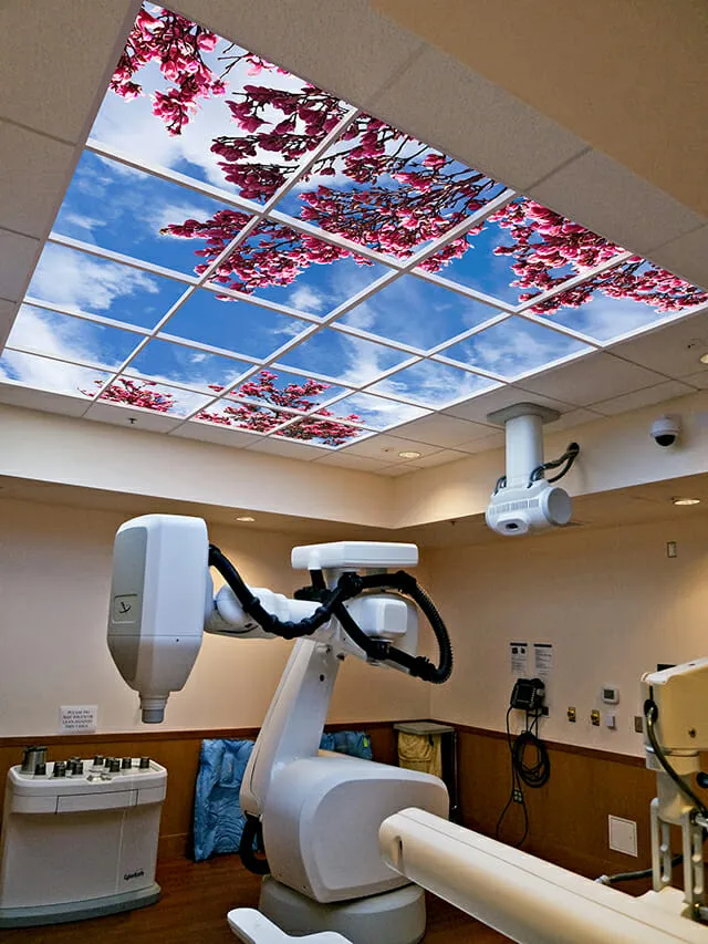 Center for ART Cyberknife Image 1a