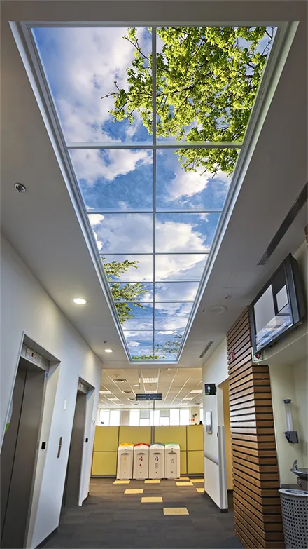 Sky Factory Rectilinear SkyCeiling in Office Hallway