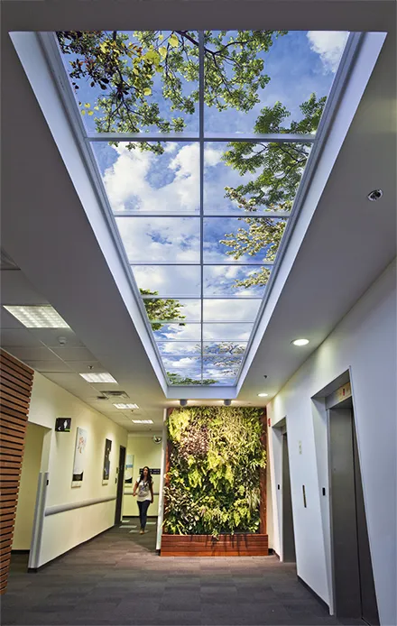 Sky Factory Rectilinear SkyCeiling in Office Hallway