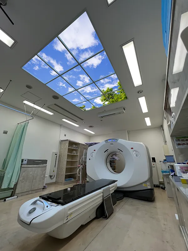 Kumamoto University Hospital CT LSC Image 2