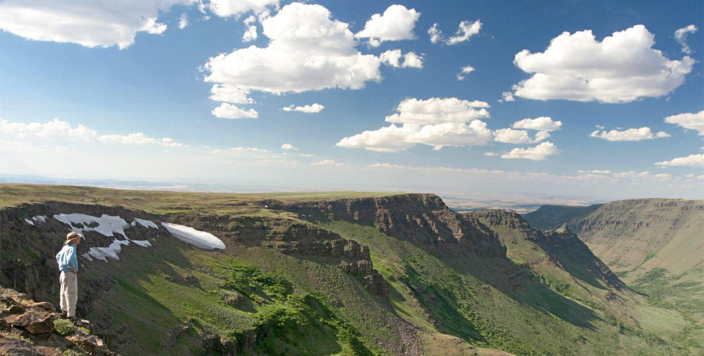 Bill Witherspoon looking out over Oregon desert canyon