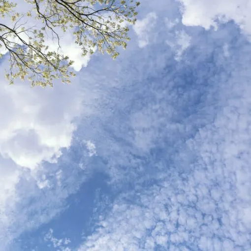 Patterned Clouds