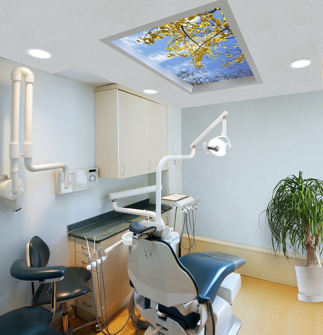 Dentist 5d 45977 SkyView Render Fixed DT