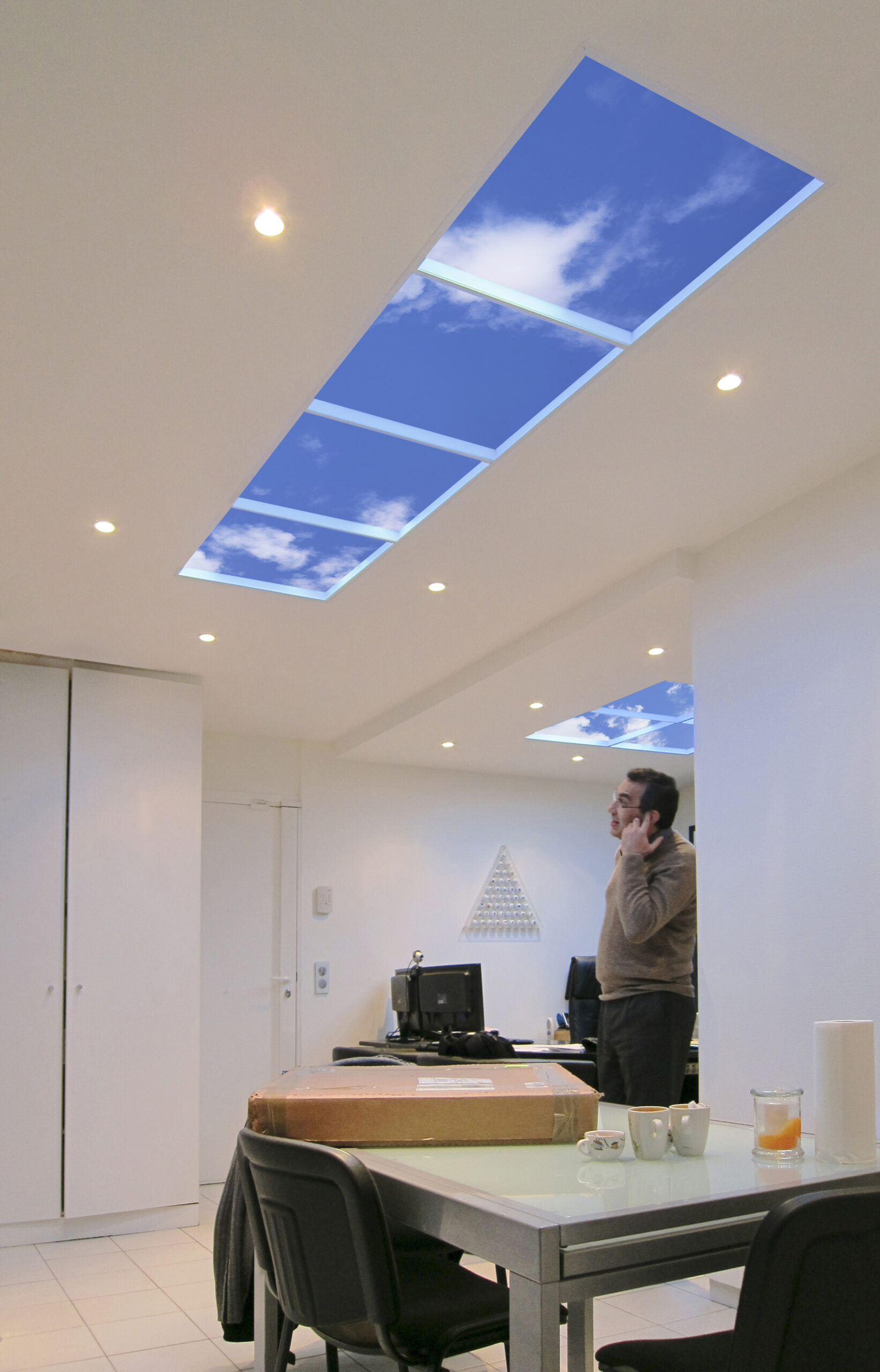 60cm x 2.4m virtual skylight for occupant wellness.