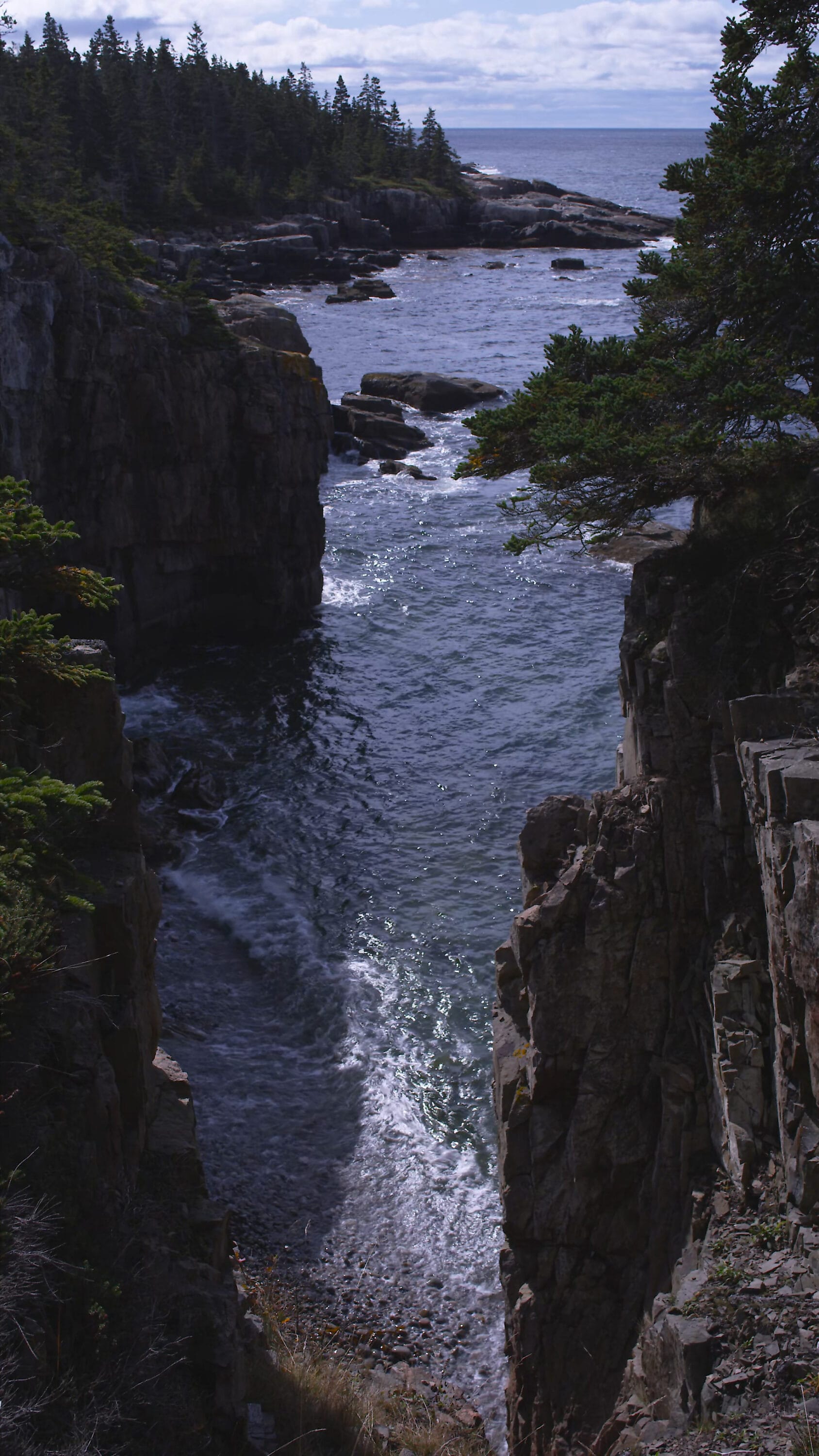 Acadia NP Ocean Notch