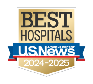 Adult hospitals 2024 (1)
