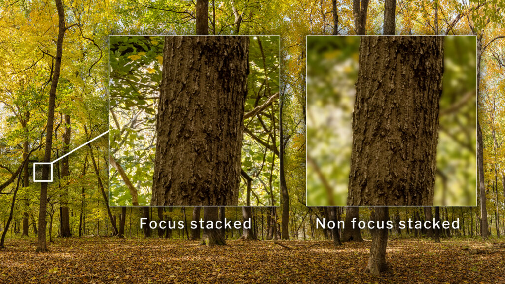Stacked from 7 images. Method=B (R=10,S=4)