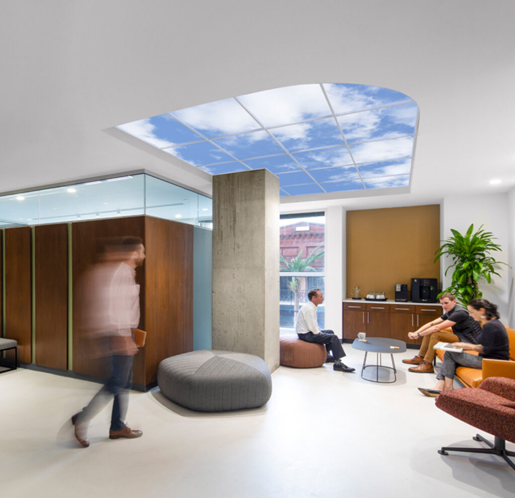 OEP 003 custom v2 cropped web