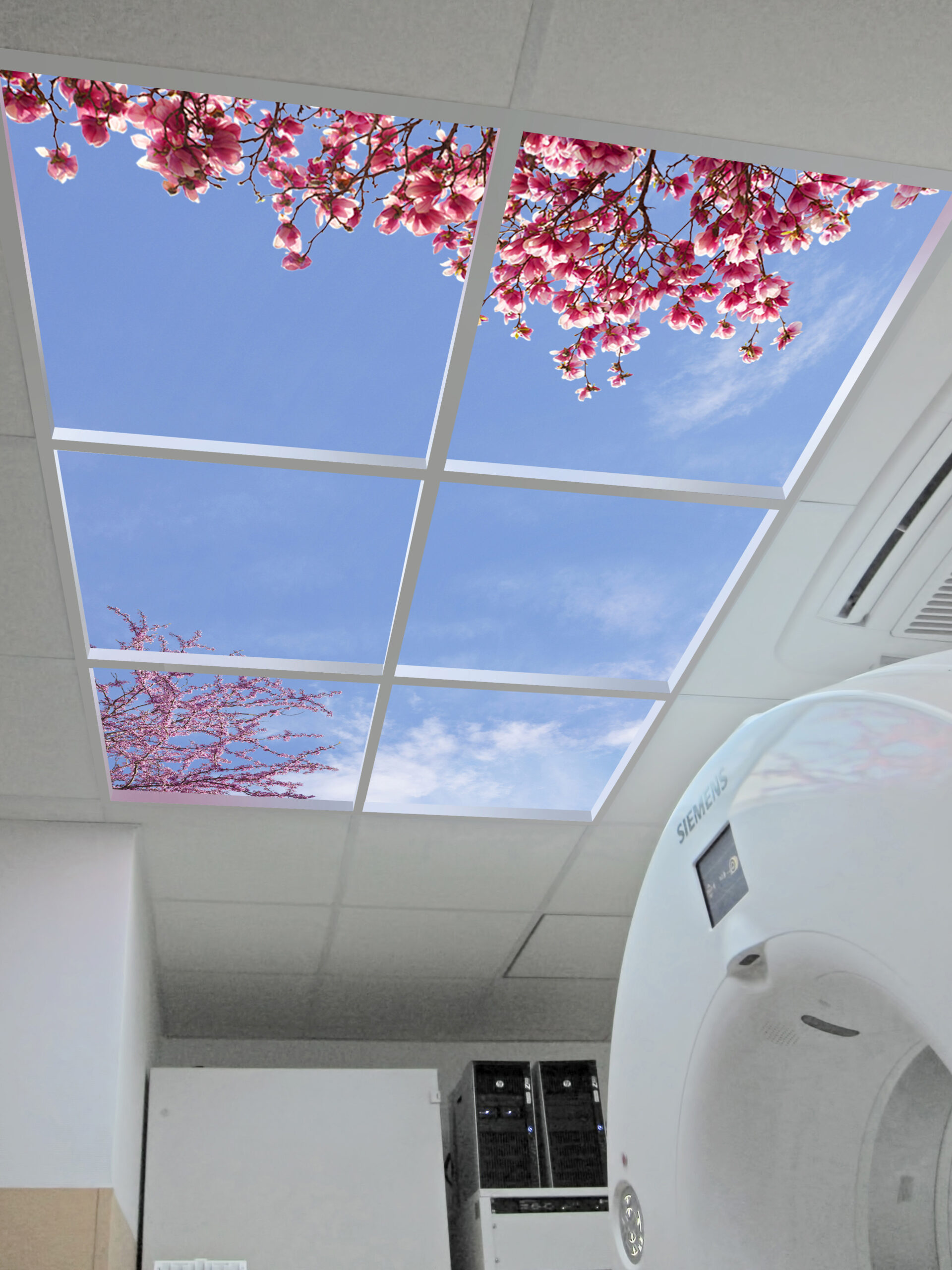 Close up of photographic Open Sky Composition.