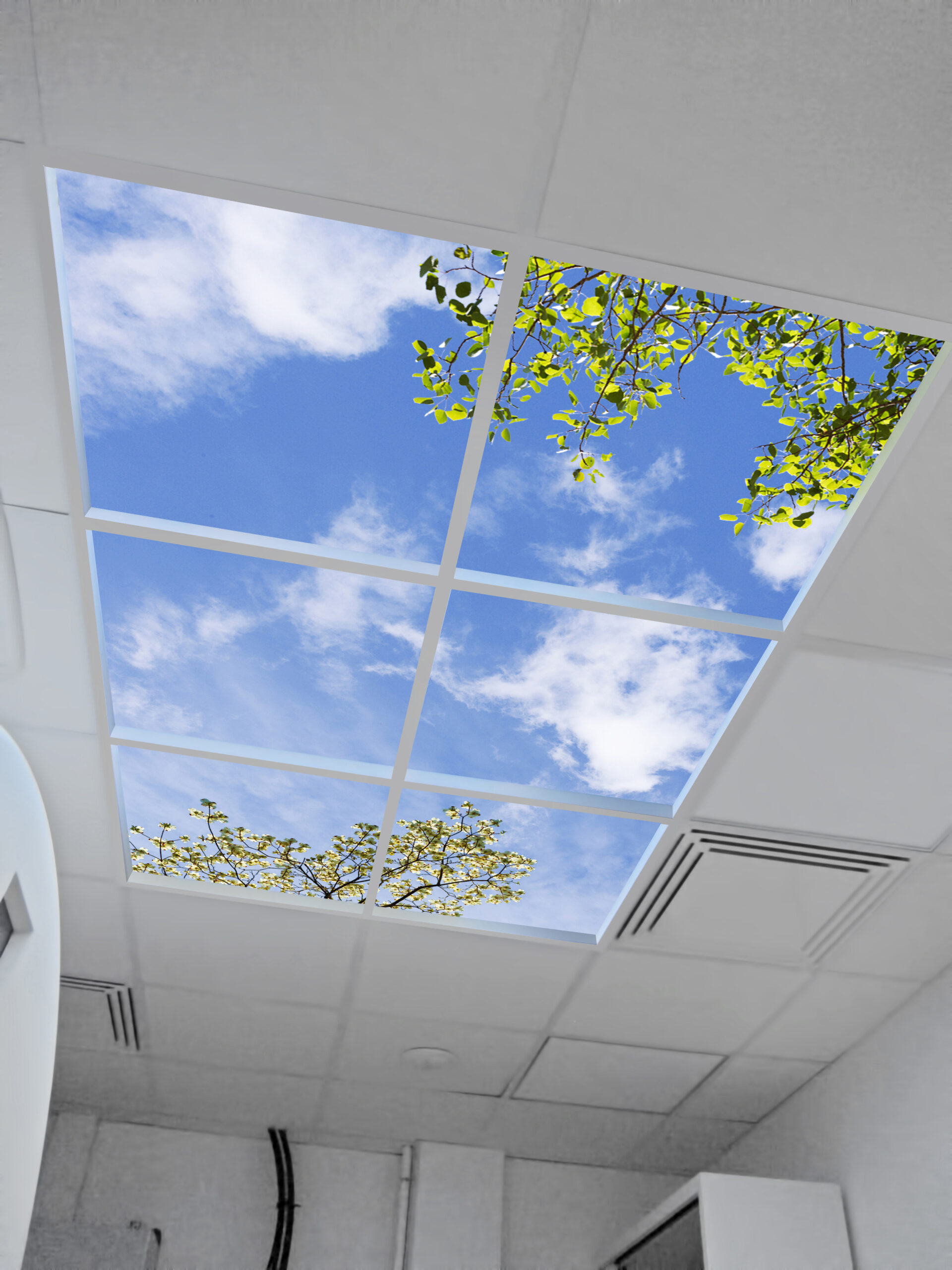 1.2m x1.8m research-verified virtual skylights (Luminous SkyCeilings)