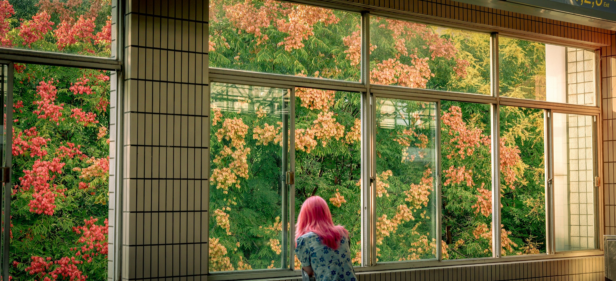 Viewing Nature Rich Xu