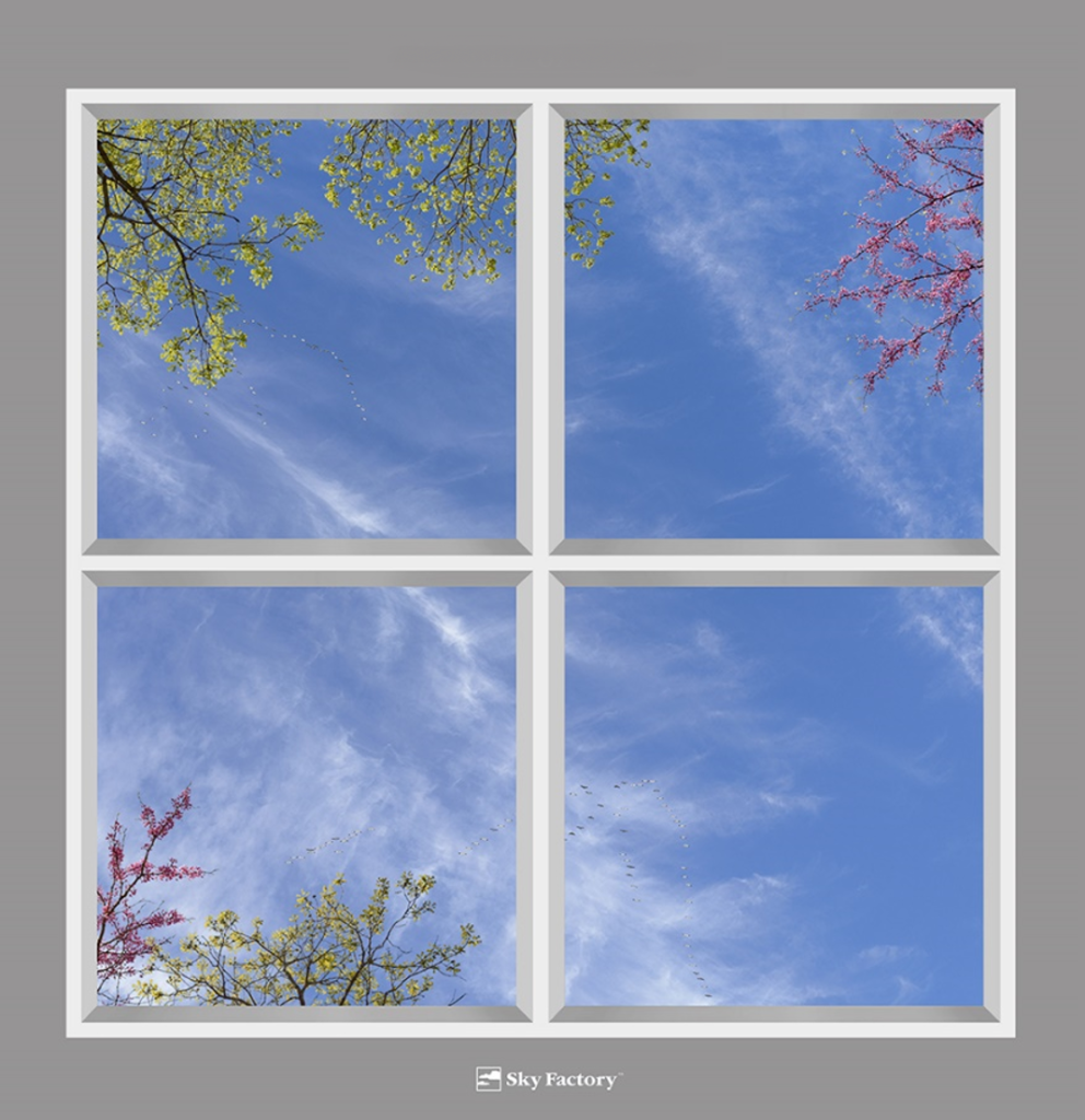 Sky Factory 8 foot square Revelation Virtual SkyCeiling with 4foot grid and featuring sping trees, snow geese, and thin wispy clouds