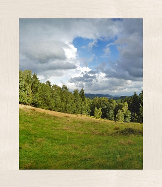 LVW Rustic
