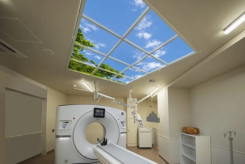 TSF ChibaUniversity13 Web