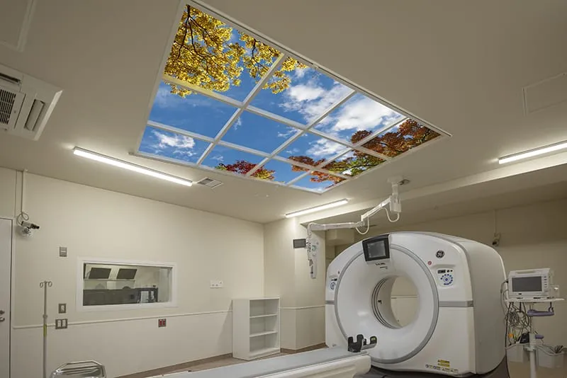 TSF ChibaUniversity46 Web