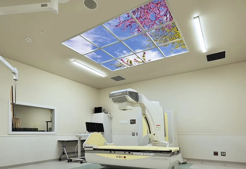 TSF ChibaUniversity60 Web