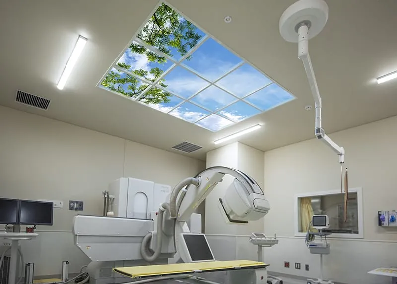 TSF ChibaUniversity62 Web