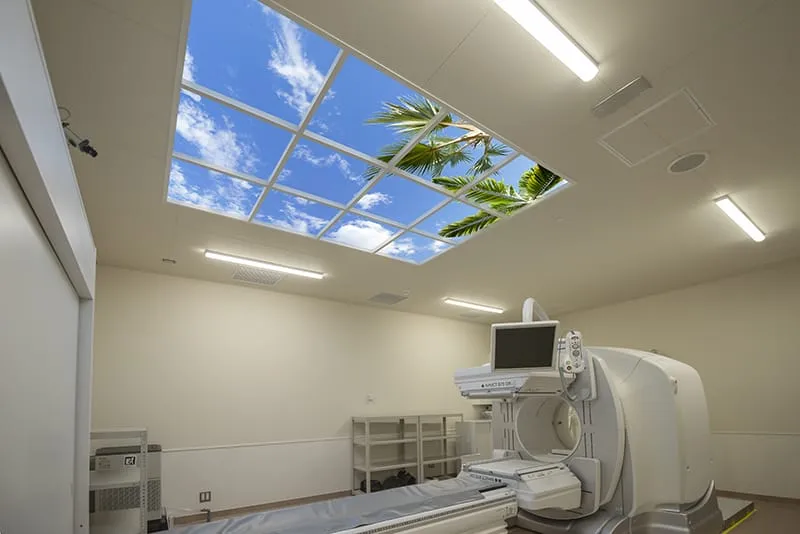 TSF ChibaUniversity68 Web