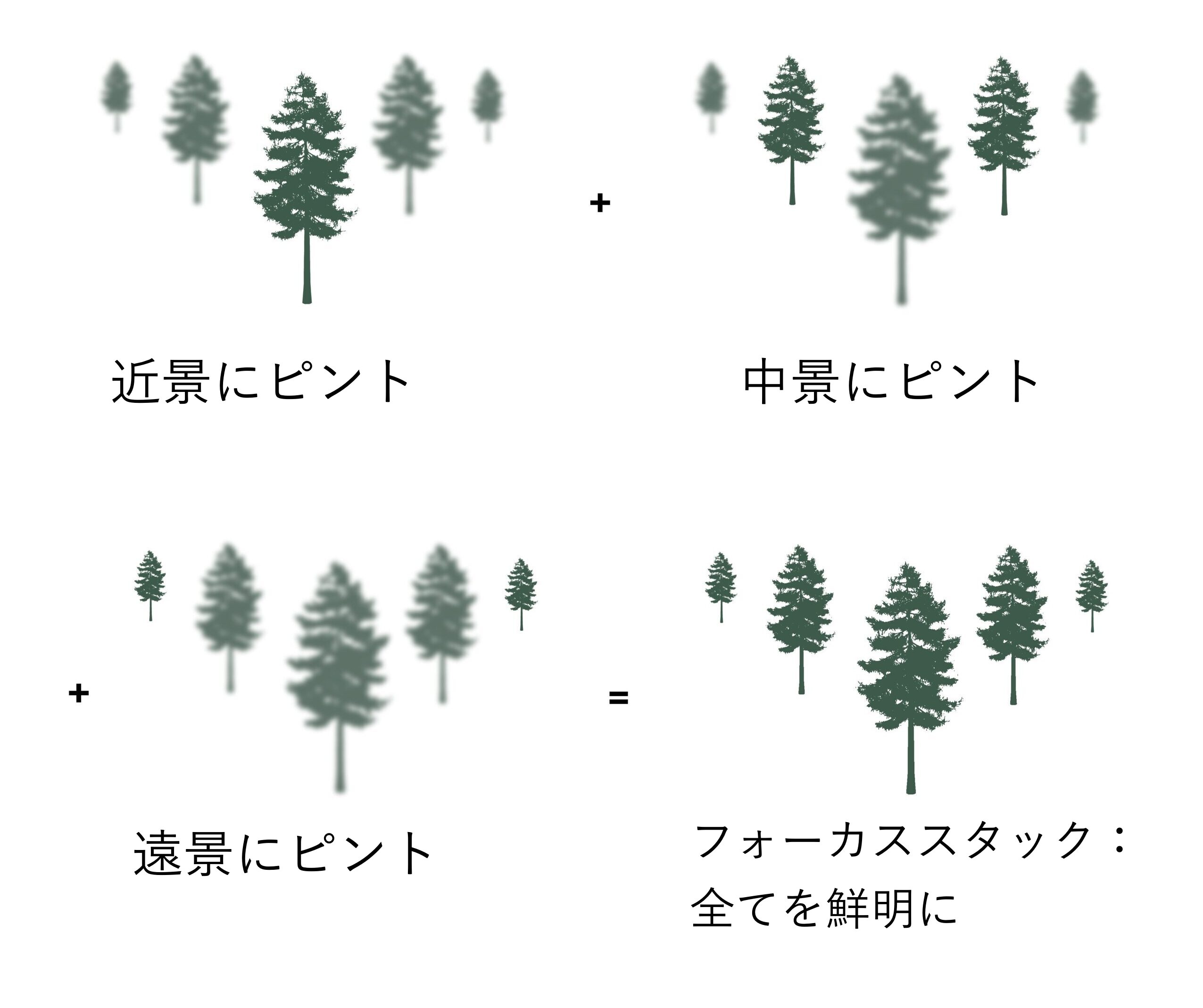 Focus Stack Graphic email 5.21 V2 01 e1748893561241