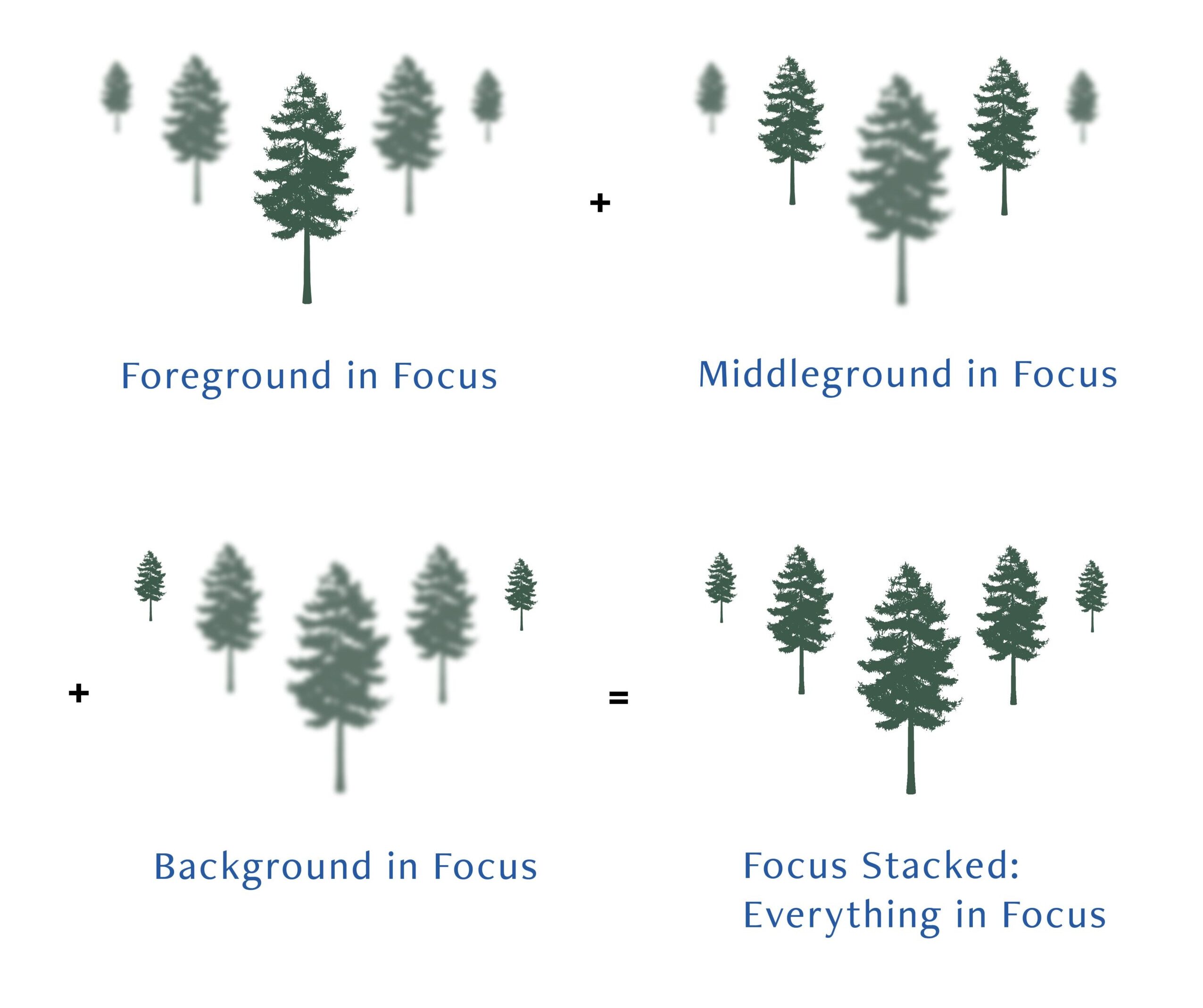 Focus Stack Graphic email 5.21 V2 01