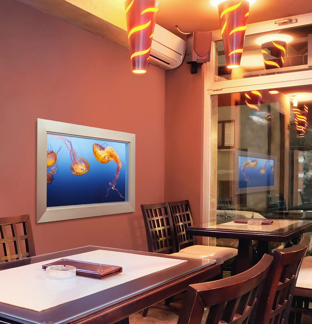 Restaurant SS96482537 v3 jelly fish MUTED COLORS comm