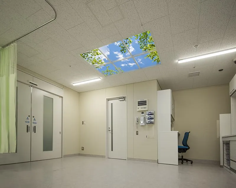 TSF ChibaUniversity47 Web