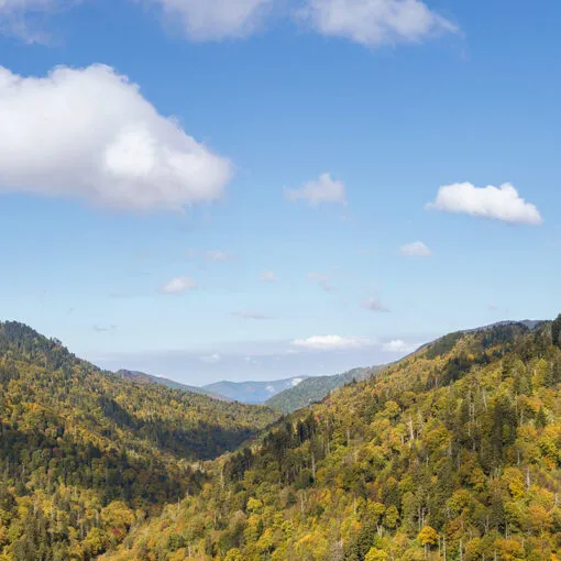 Southeast / Appalachia