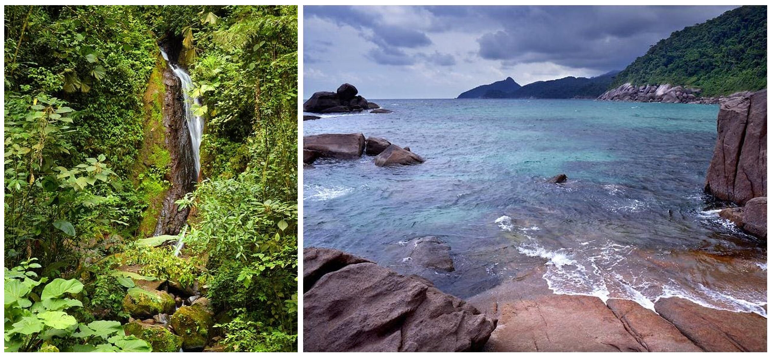 Image Library 6qx & 6kv