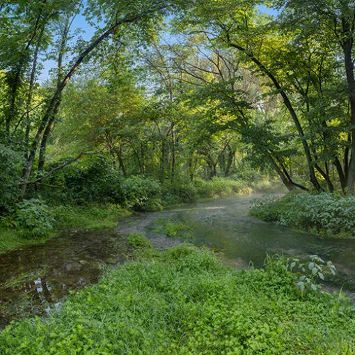 New Ultra Hi-Resolution Images