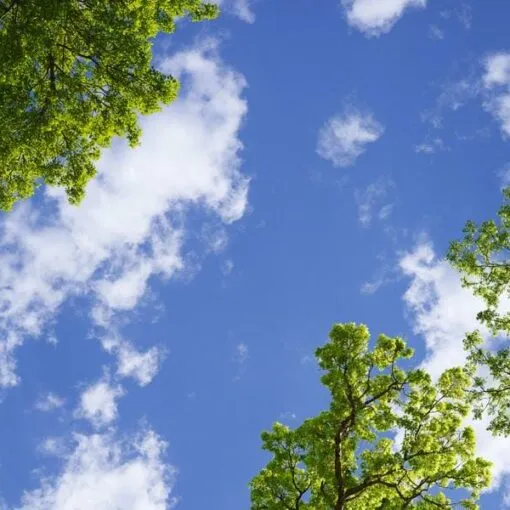 Circadian Tunable Skies