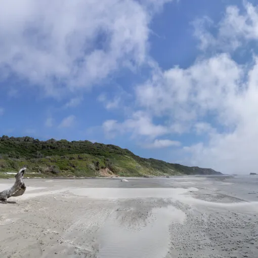 West / Pacific Northwest