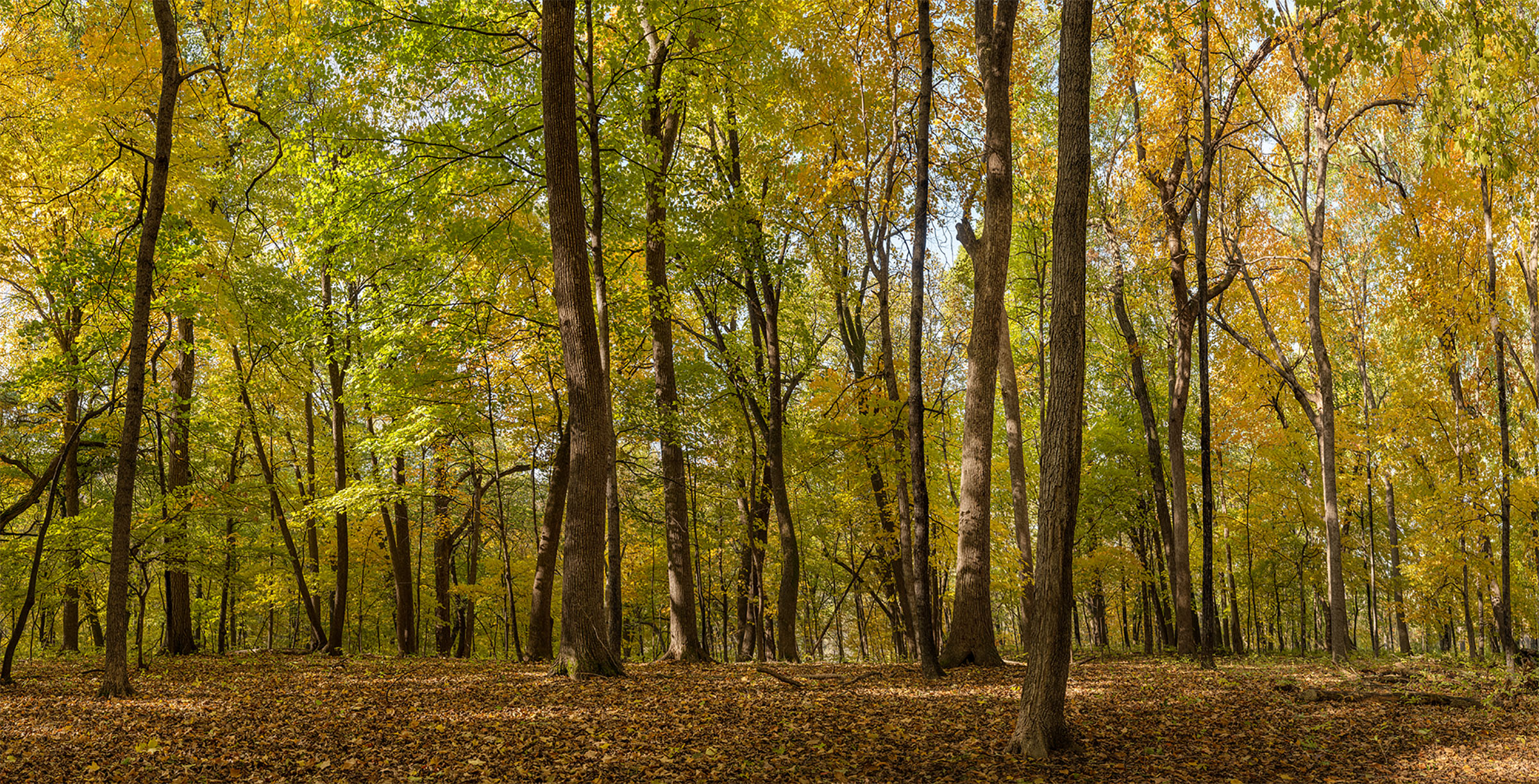 Stacked from 7 images. Method=B (R=10,S=4)