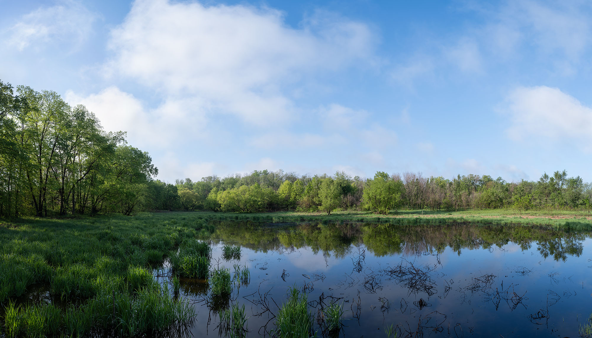 Stacked from 7 images. Method=B (R=11,S=1)