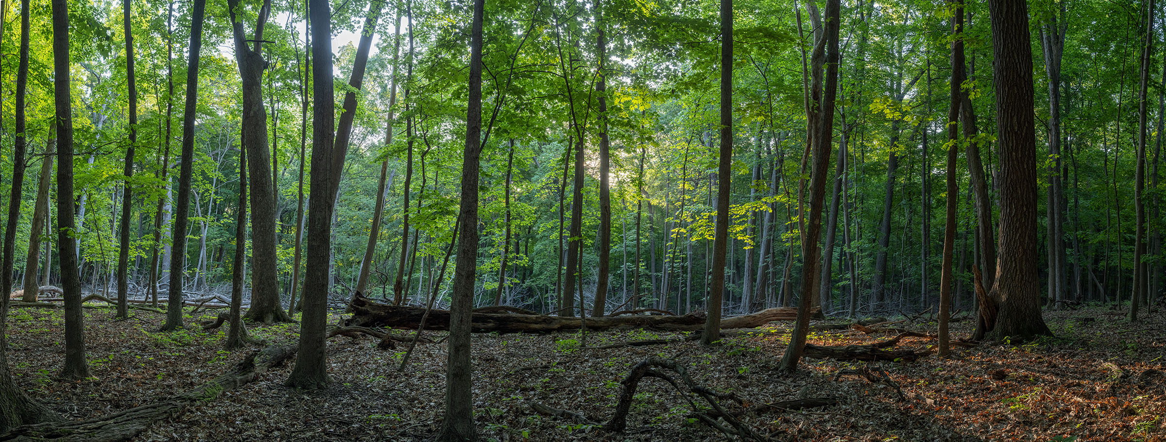 Stacked from 13 images. Method=B (R=1,S=1)